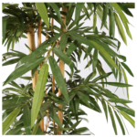 Bamboo