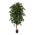 Ficus Folia A-Tree